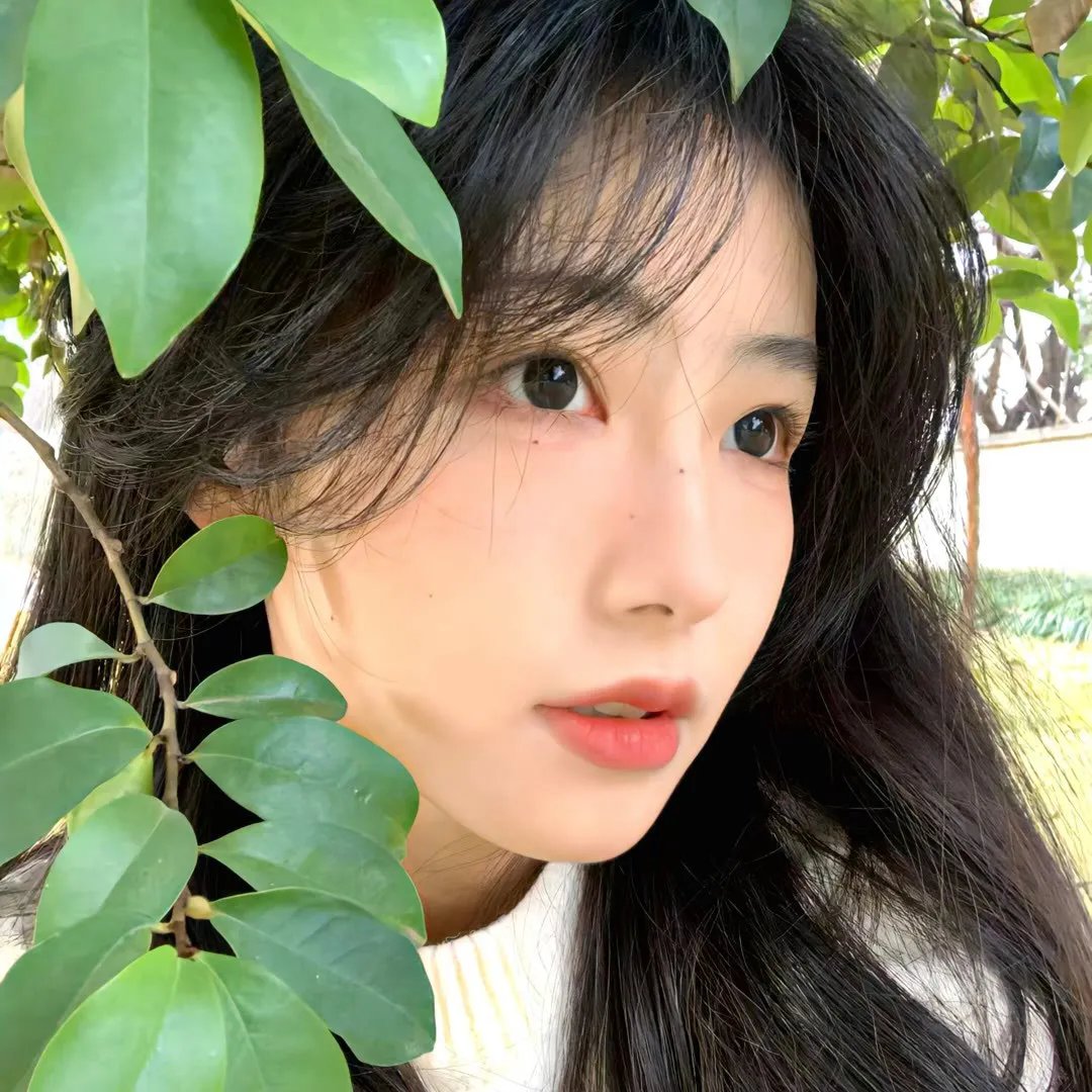 霓裳记