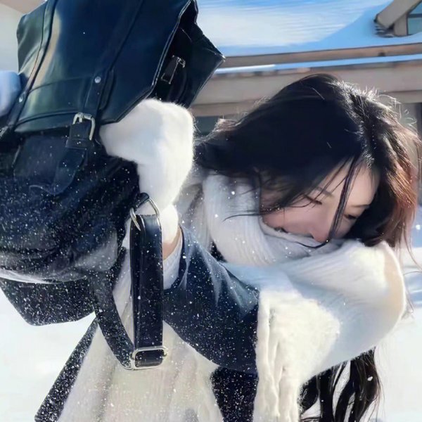 三只流浪猫