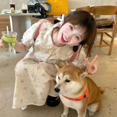 命运解剖师